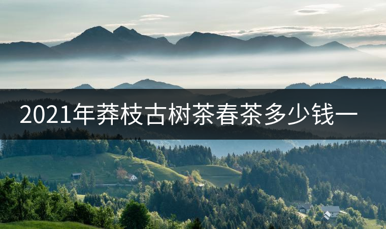 2021年莽枝古樹(shù)茶春茶多少錢(qián)一斤？