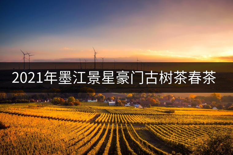 2021年墨江景星豪門古樹茶春茶價(jià)格多少錢一斤？