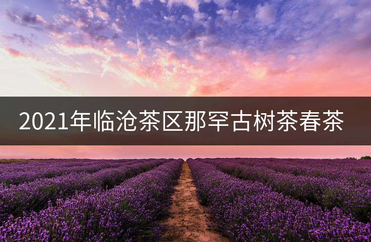 2021年臨滄茶區(qū)那罕古樹茶春茶多少錢一公斤？