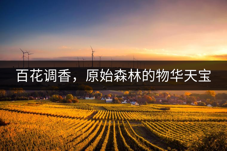 百花調(diào)香，原始森林的物華天寶
