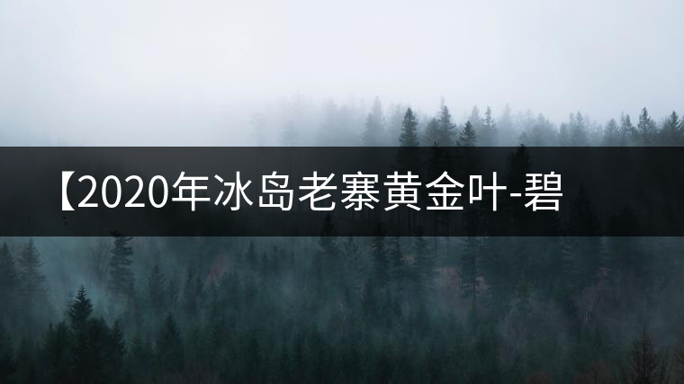 【2020年冰島老寨黃金葉-碧波蕩漾一抹香，輕啜半盞甘若露。