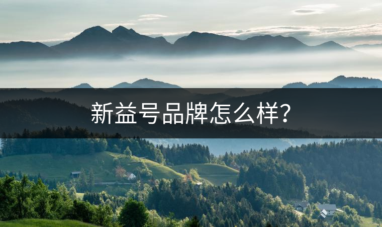 新益號(hào)品牌怎么樣？