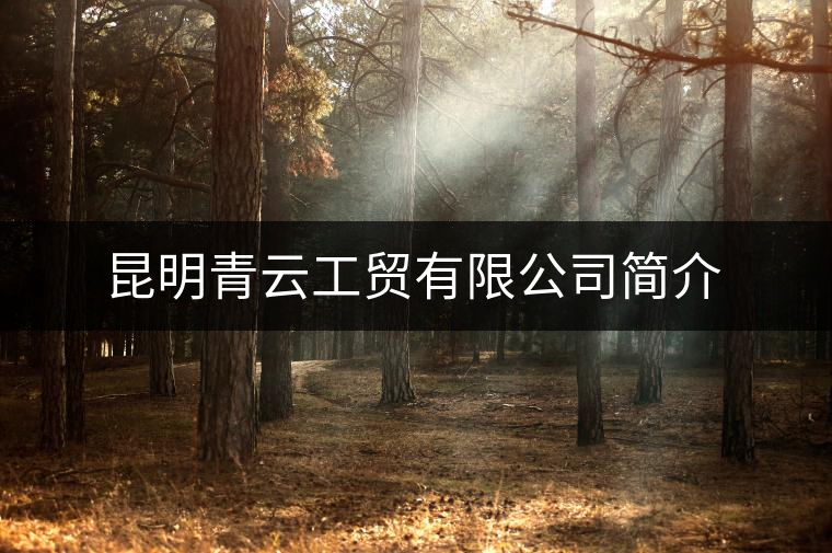 昆明青云工貿(mào)有限公司簡(jiǎn)介 昆明青云工貿(mào)有限公司簡(jiǎn)介