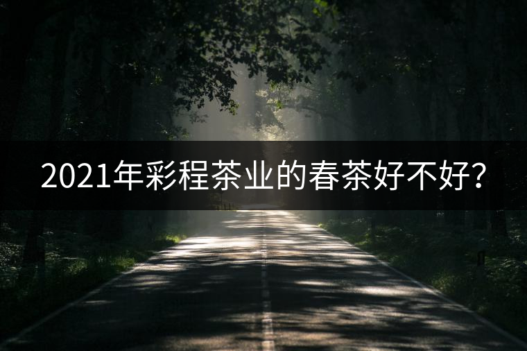 2021年彩程茶業(yè)的春茶好不好？