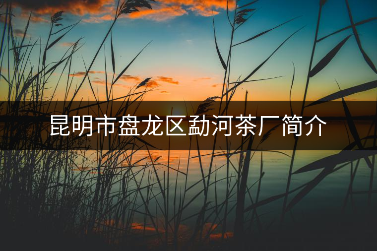 昆明市盤龍區(qū)勐河茶廠簡介 昆明市盤龍區(qū)勐河茶廠簡介