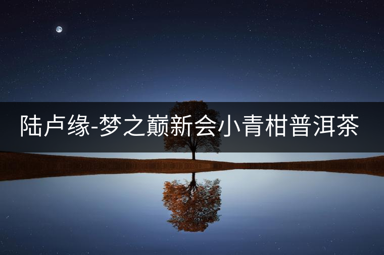陸盧緣-夢(mèng)之巔新會(huì)小青柑普洱茶熟茶500g茶葉陳皮茶正宗桔普好喝嗎？