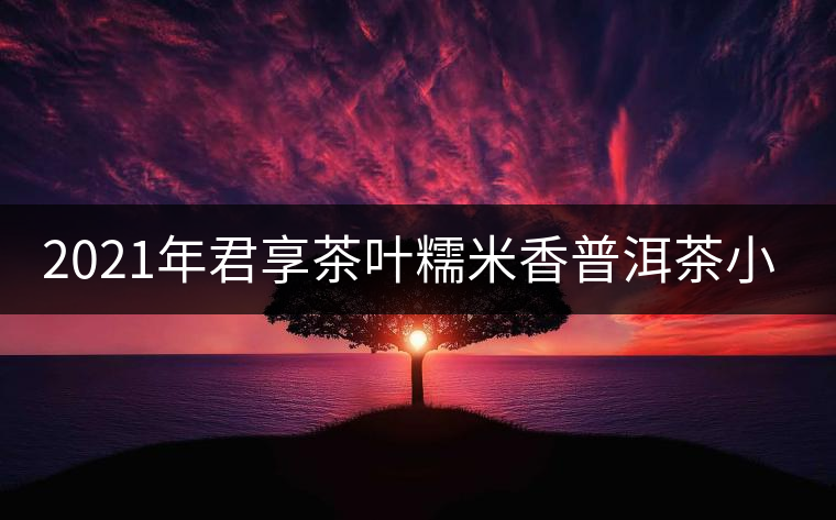2021年君享茶葉糯米香普洱茶小沱茶餅口感好嗎？