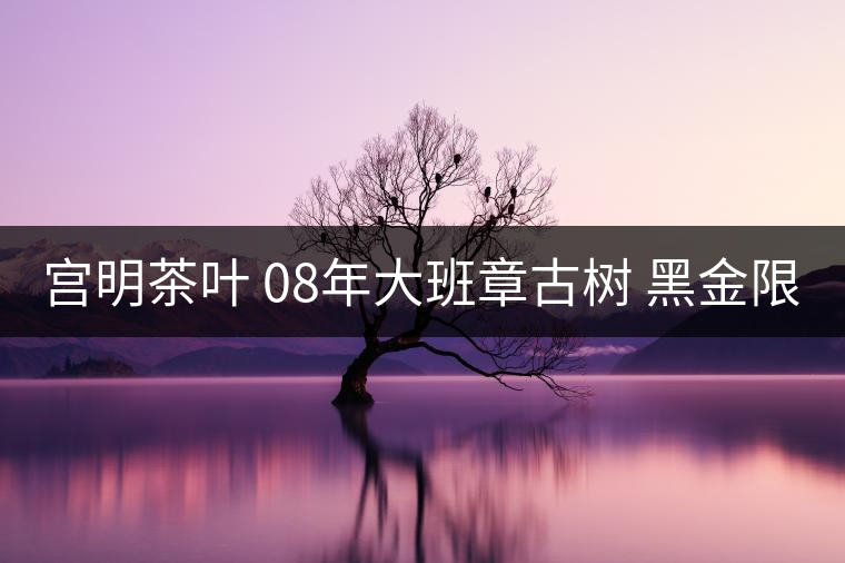 宮明茶葉 08年大班章古樹(shù) 黑金限量版 金醇茶磚 好不好喝？