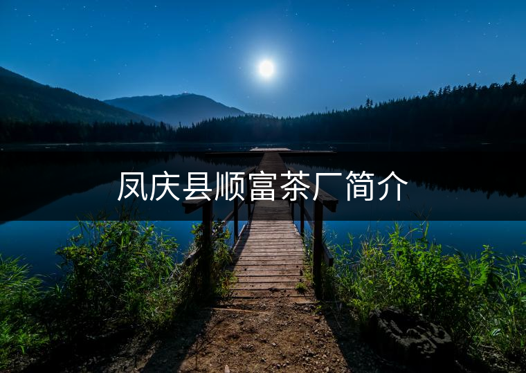 鳳慶縣順富茶廠簡(jiǎn)介