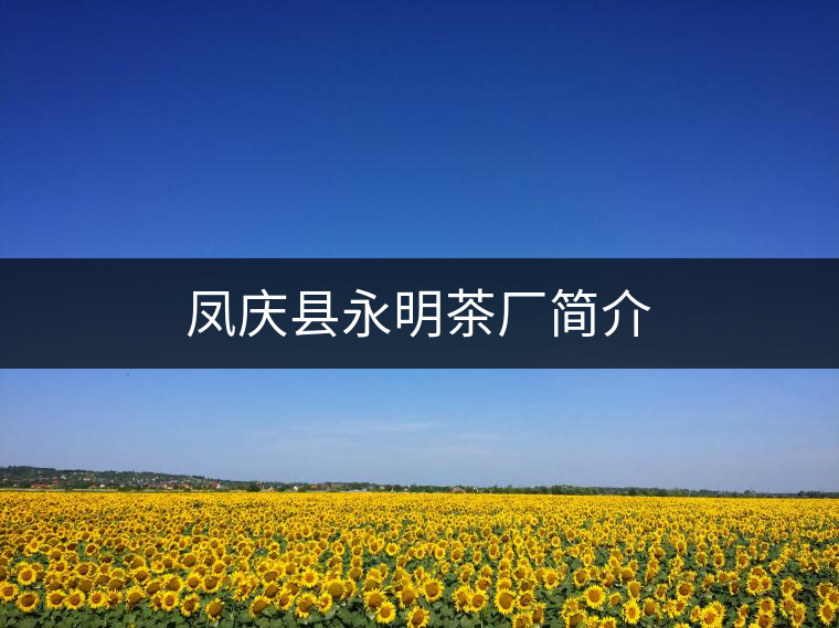 鳳慶縣永明茶廠簡介 鳳慶縣永明茶廠簡介