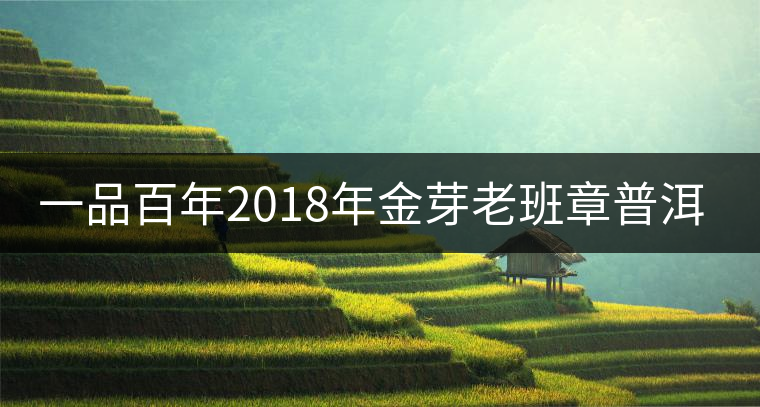 一品百年2018年金芽老班章普洱茶餅醇厚度好不好？