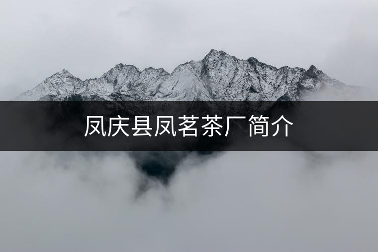 鳳慶縣鳳茗茶廠簡介