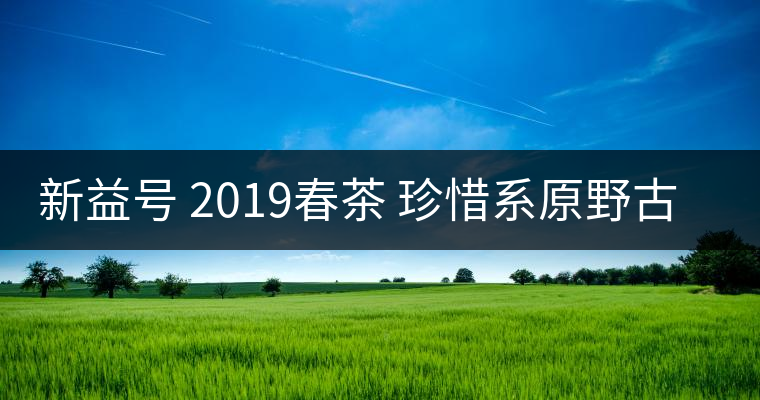 新益號(hào) 2019春茶 珍惜系原野古茶 野茶可以買嗎？