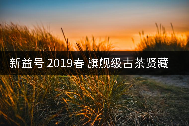 新益號(hào) 2019春 旗艦級(jí)古茶賢藏古600滑竹梁子值得存嗎？