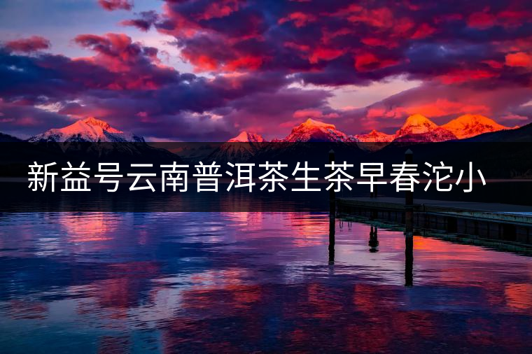 新益號云南普洱茶生茶早春沱小沱茶坨茶滋味如何？