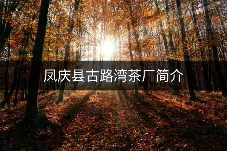 鳳慶縣古路灣茶廠簡介