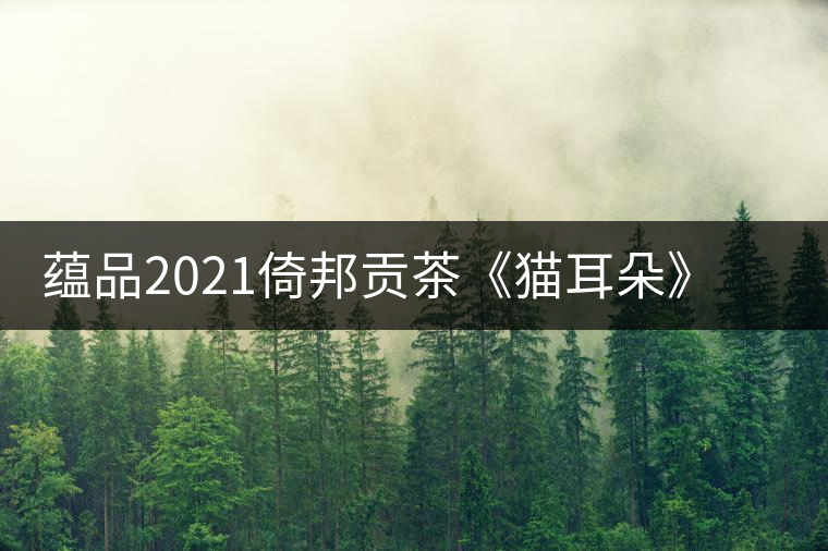 蘊品2021倚邦貢茶《貓耳朵》古樹普洱茶生茶好喝嗎? 蘊品2021倚邦貢茶《貓耳朵》古樹普洱茶生茶好喝嗎?