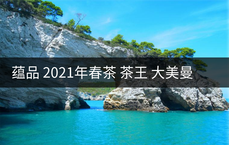 蘊品 2021年春茶 茶王 大美曼松普洱茶生茶適合收藏嗎？