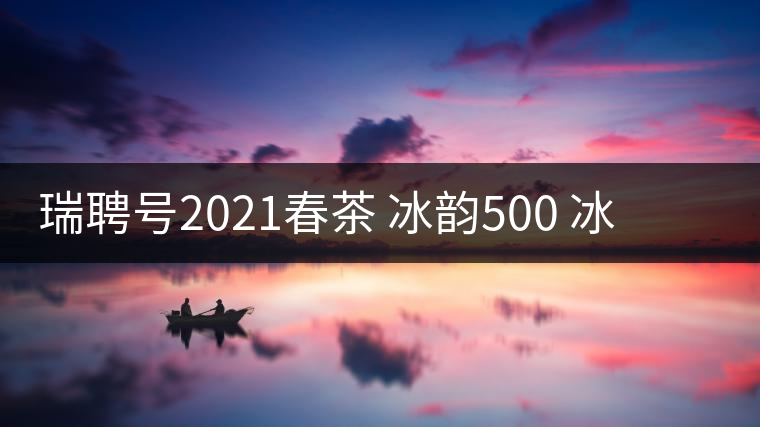 瑞聘號(hào)2021春茶 冰韻500 冰島頭春古樹(shù)茶口感好不好？