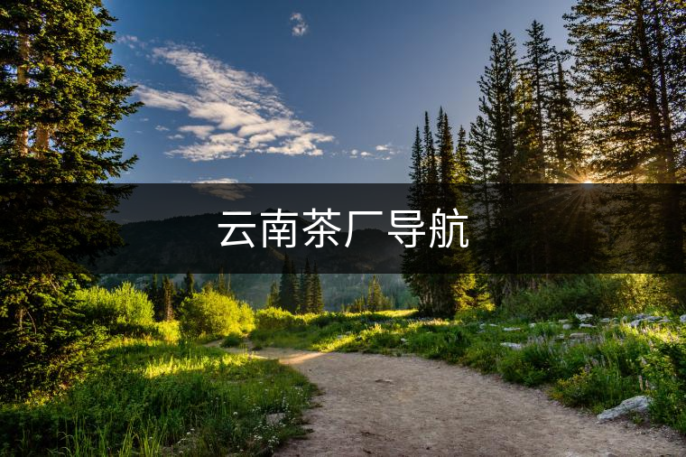 云南茶廠導(dǎo)航