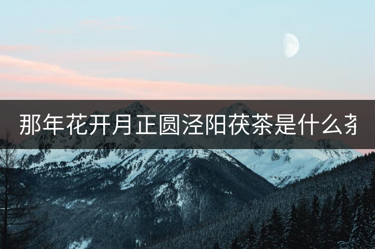 那年花開月正圓涇陽茯茶是什么茶 哪里可以買到