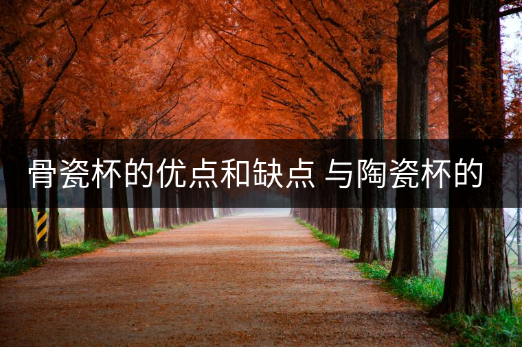 骨瓷杯的優(yōu)點(diǎn)和缺點(diǎn) 與陶瓷杯的區(qū)別 骨瓷杯的優(yōu)點(diǎn)和缺點(diǎn) 與陶瓷杯的區(qū)別