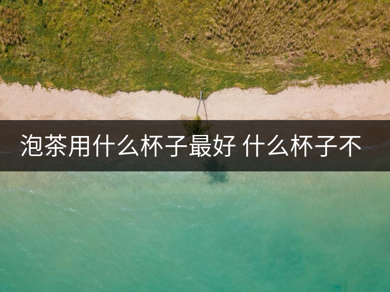 泡茶用什么杯子最好 什么杯子不能用 泡茶用什么杯子最好 什么杯子不能用