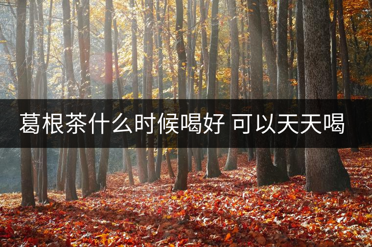葛根茶什么時(shí)候喝好 可以天天喝嗎 葛根茶什么時(shí)候喝好 可以天天喝嗎