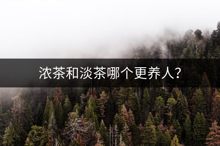 濃茶和淡茶哪個更養(yǎng)人？