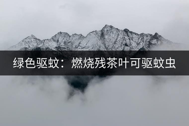 綠色驅(qū)蚊:燃燒殘茶葉可驅(qū)蚊蟲 綠色驅(qū)蚊:燃燒殘茶葉可驅(qū)蚊蟲