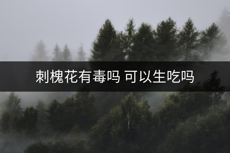 刺槐花有毒嗎 可以生吃嗎