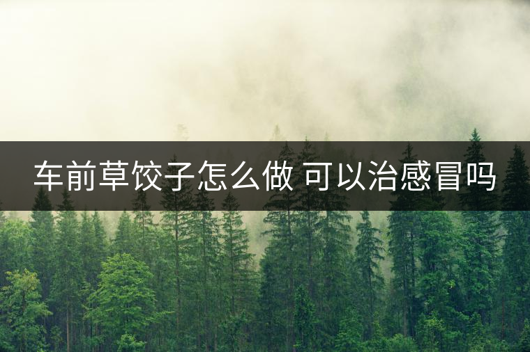 車(chē)前草餃子怎么做 可以治感冒嗎 車(chē)前草餃子怎么做 可以治感冒嗎