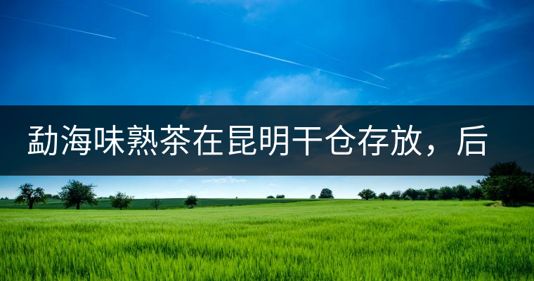 勐海味熟茶在昆明干倉(cāng)存放，后期轉(zhuǎn)化如何呢？