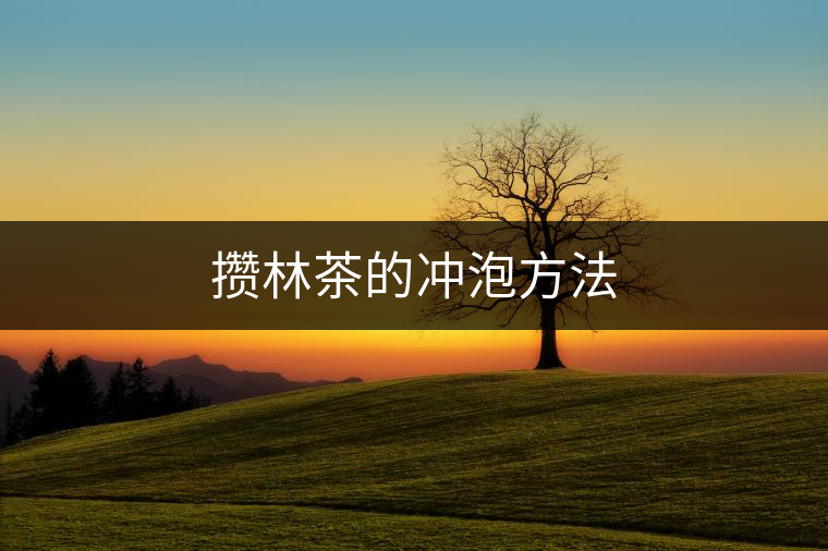攢林茶的沖泡方法