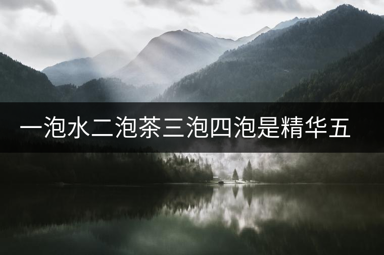 一泡水二泡茶三泡四泡是精華五泡六泡是什么