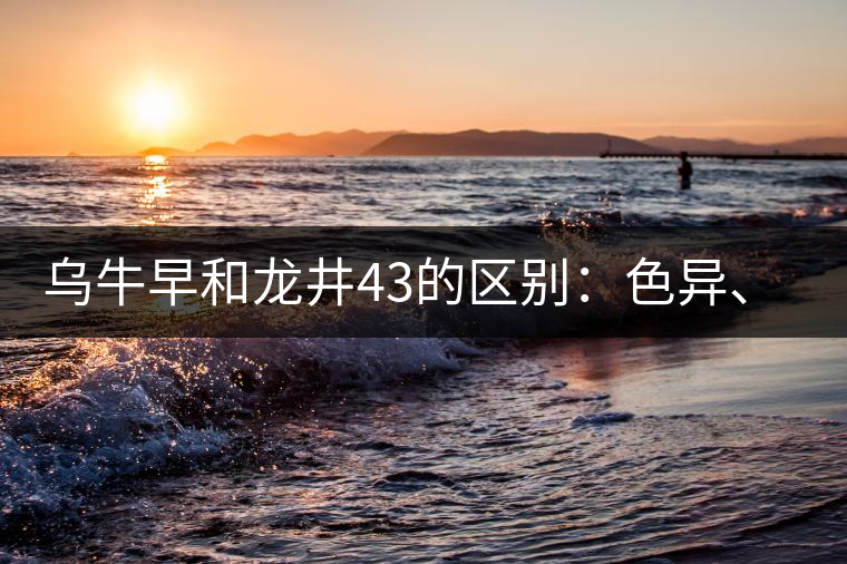 烏牛早和龍井43的區(qū)別：色異、香異、形異