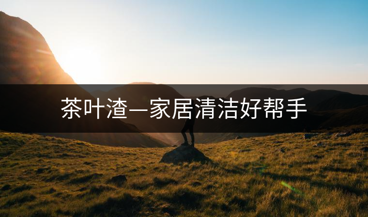 茶葉渣—家居清潔好幫手
