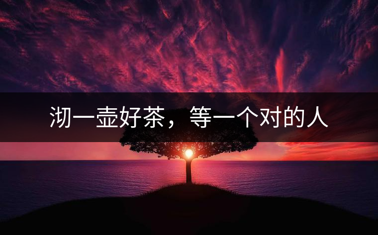 沏一壺好茶，等一個對的人