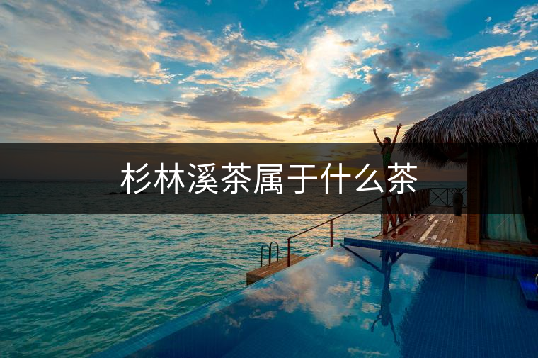 杉林溪茶屬于什么茶 杉林溪茶屬于什么茶