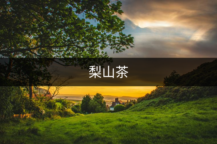 梨山茶