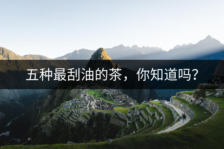 五種最刮油的茶，你知道嗎？