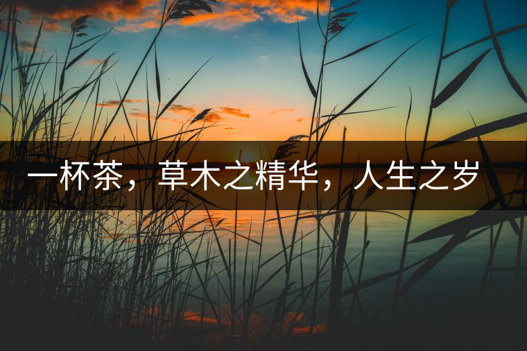 一杯茶，草木之精華，人生之歲月