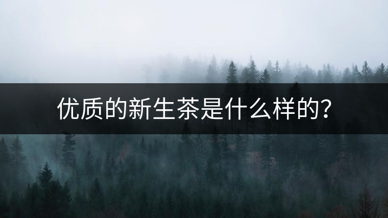 優(yōu)質(zhì)的新生茶是什么樣的？