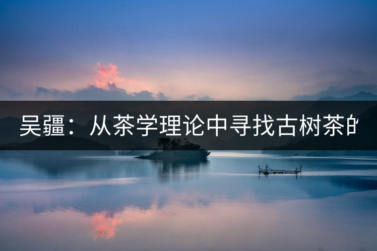 吳疆：從茶學理論中尋找古樹茶的鑒別方法？（讀書筆記3）