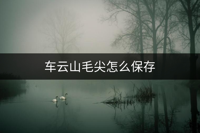 車云山毛尖怎么保存
