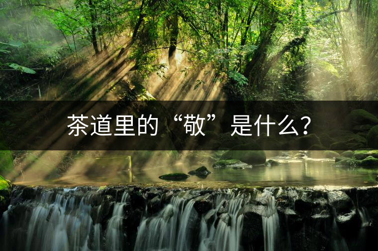 茶道里的“敬”是什么？