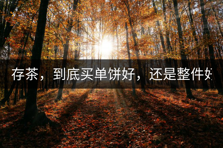 存茶，到底買單餅好，還是整件好？