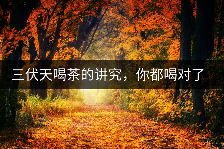 三伏天喝茶的講究，你都喝對(duì)了嗎？