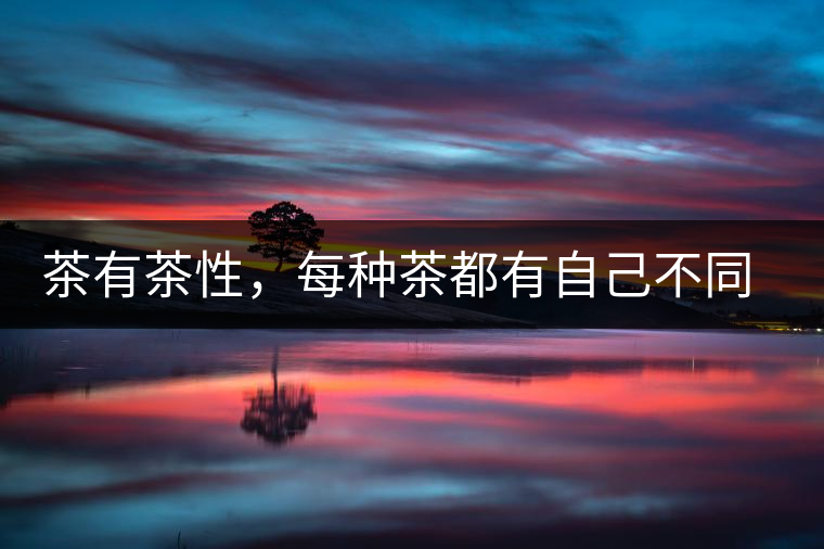 茶有茶性，每種茶都有自己不同的正確泡法