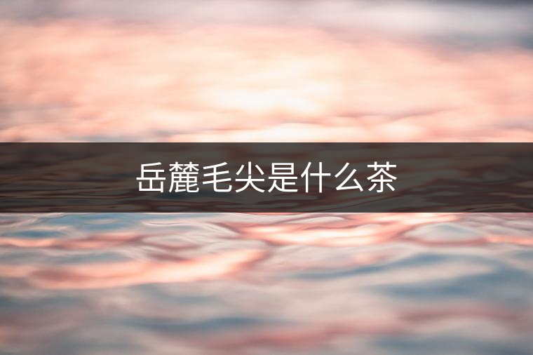 岳麓毛尖是什么茶